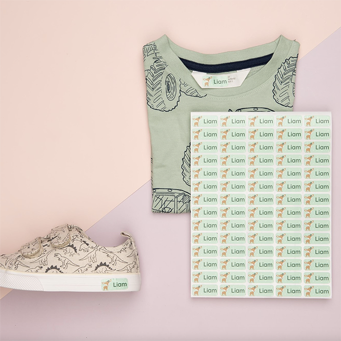Étiquettes nominatives personnalisées sur un t-shirt, une chaussure et une planche d’autocollants.